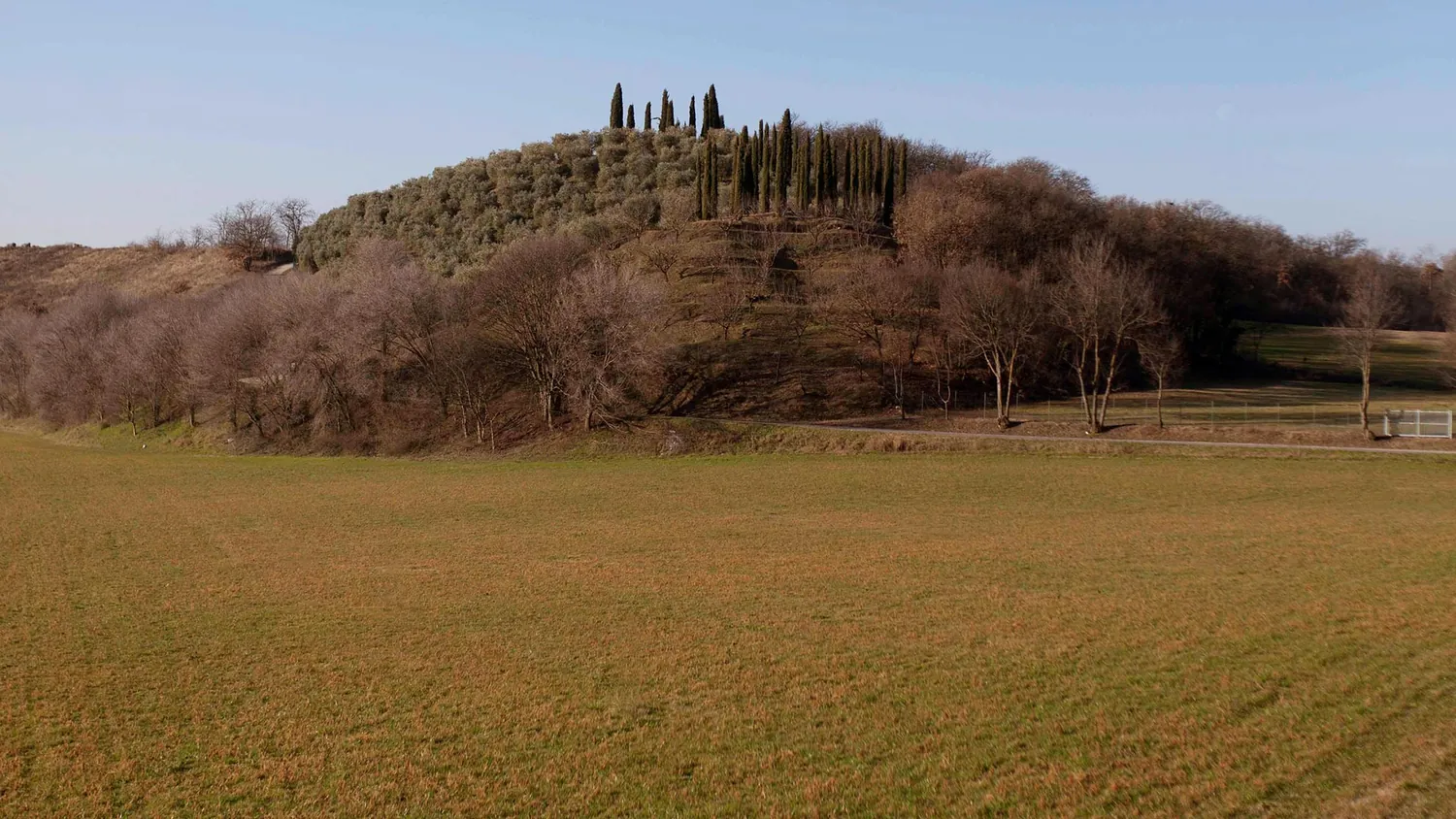 Una collina con i cipressi, nel paesaggio delle colline moreniche