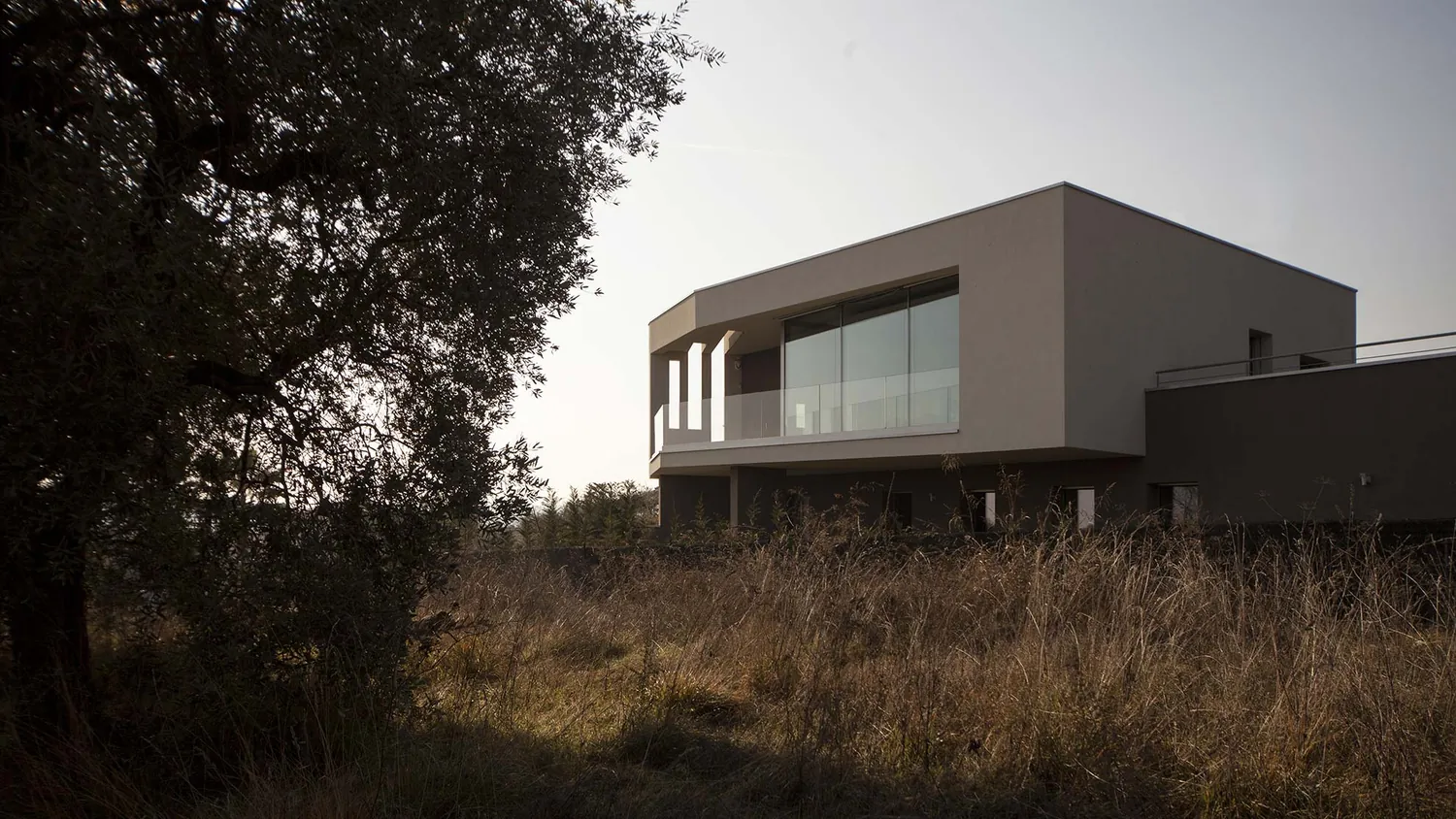 Villa bioclimatica sul Lago di Garda tra l’erba alta e un ulivo, nella luce del pomeriggio