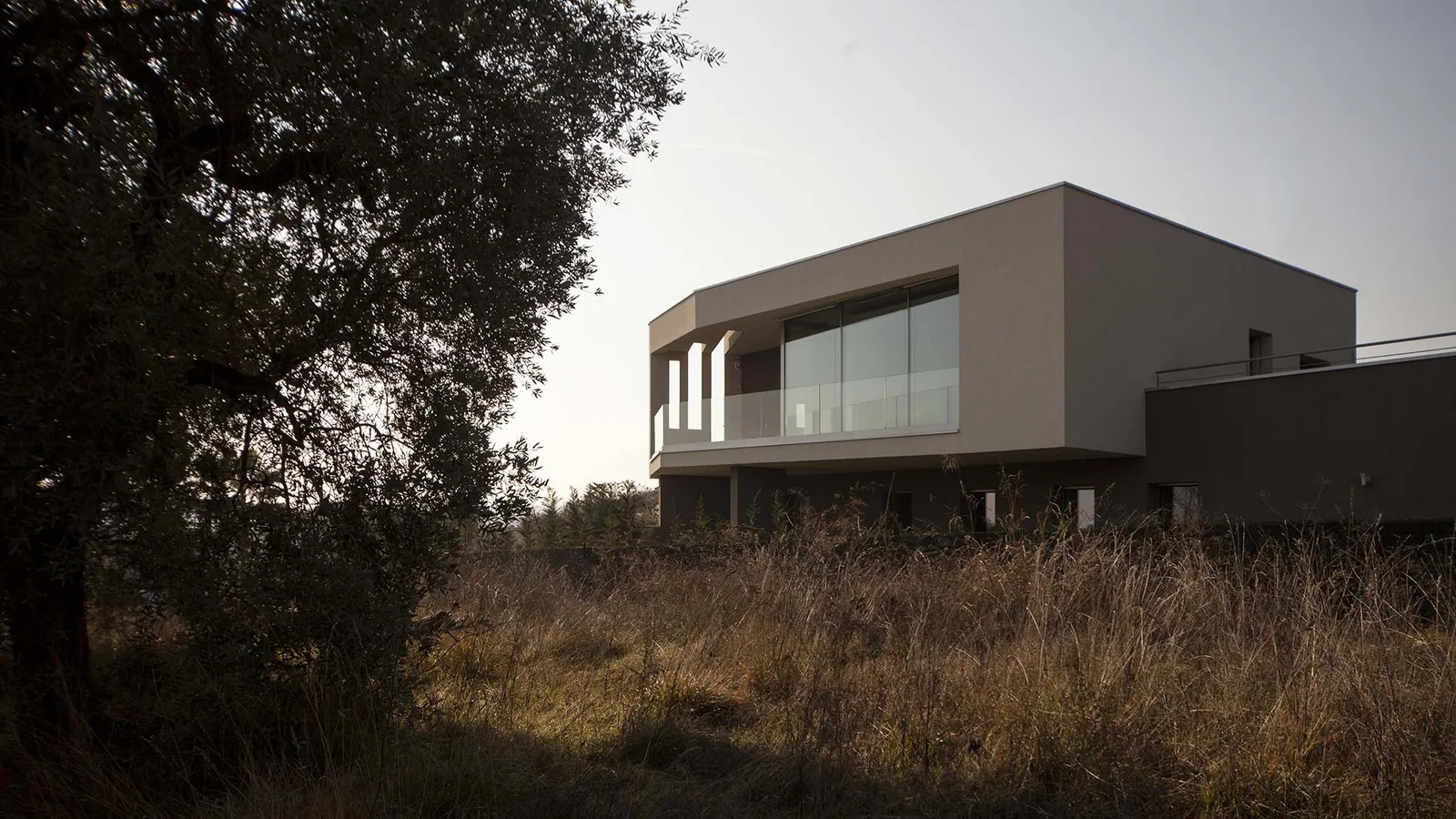 Villa contemporanea con grandi vetrate tra l’erba alta e un ulivo, nel pomeriggio